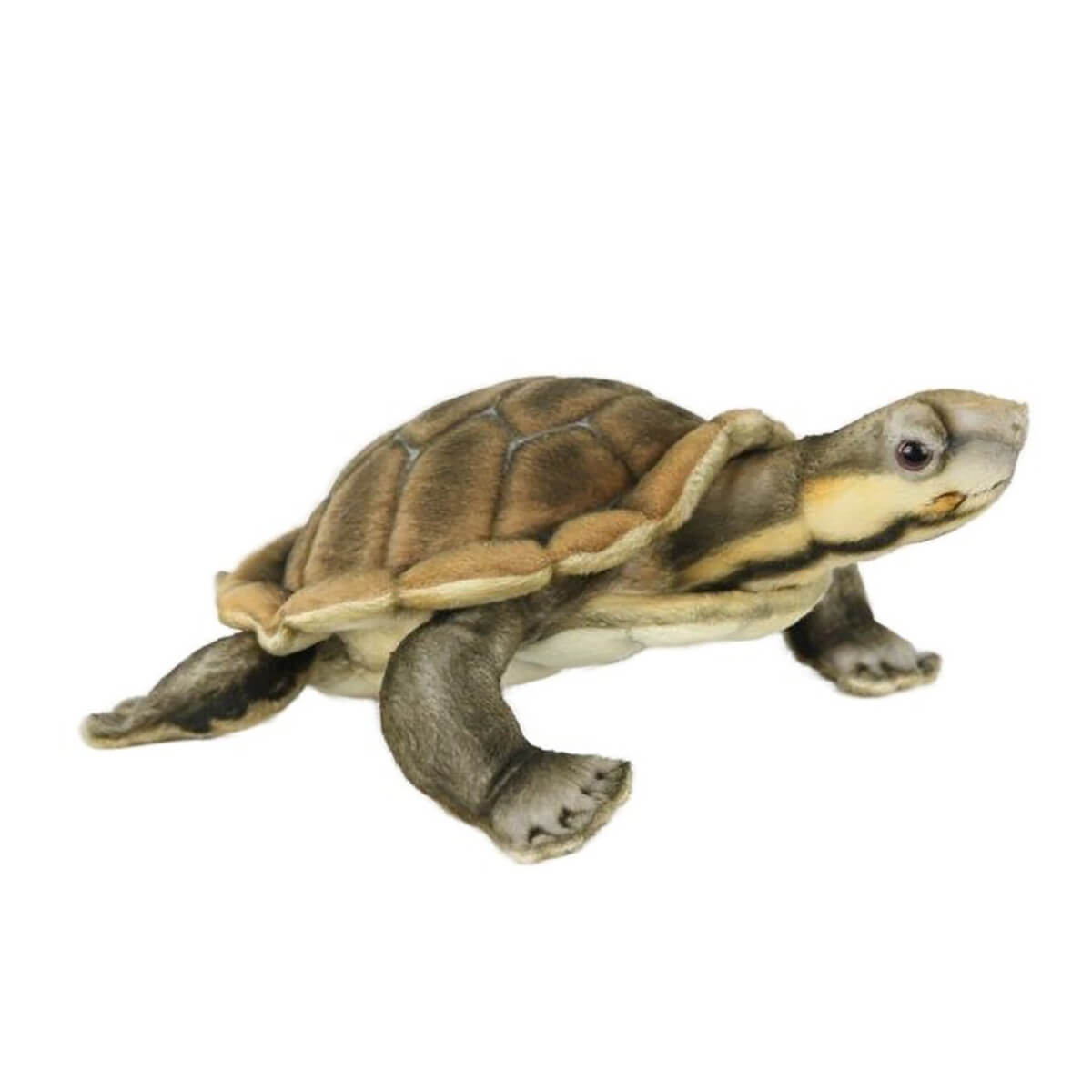 Manning River Turtle (28cm) by Hansa – Junior Edition