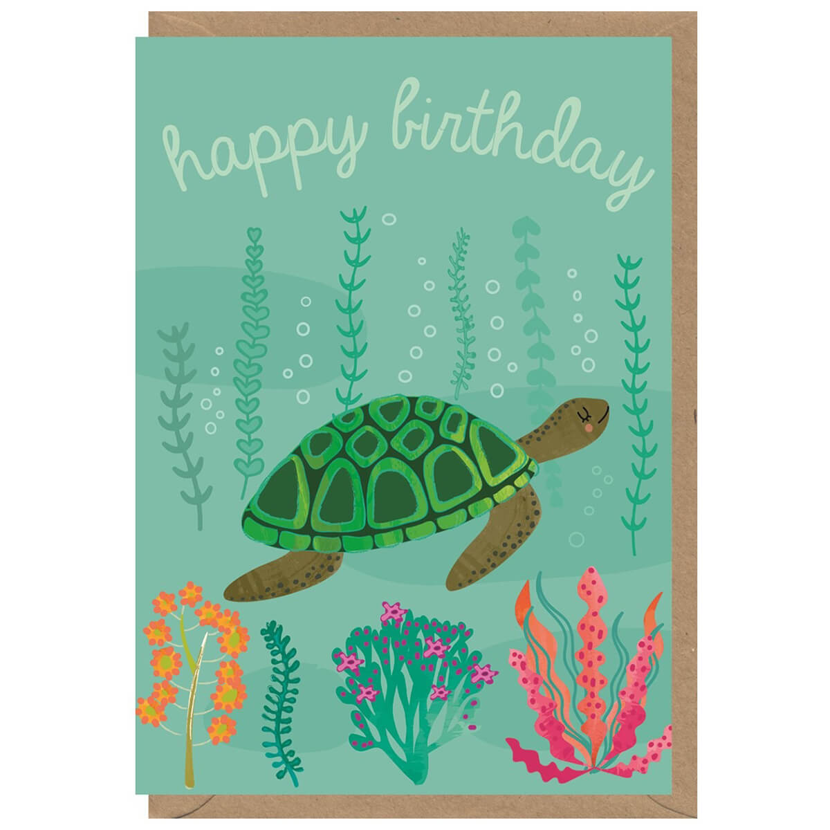 Happy Birthday Turtle Greetings Card by Elena Essex for Earlybird Desi ...