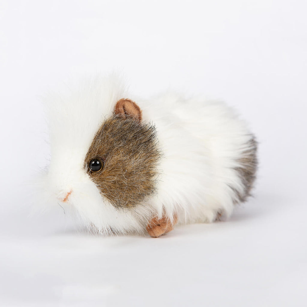 Grey and White Guinea Pig by Hansa