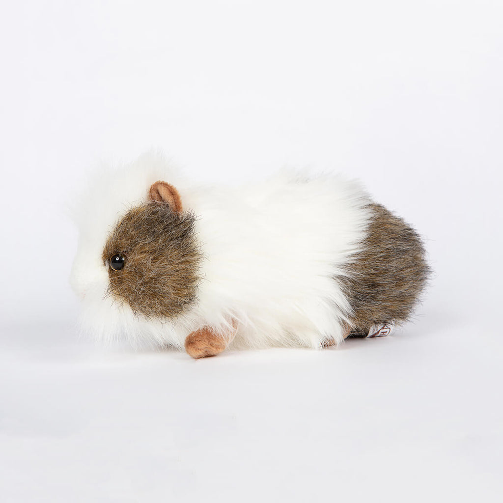 Grey and White Guinea Pig by Hansa