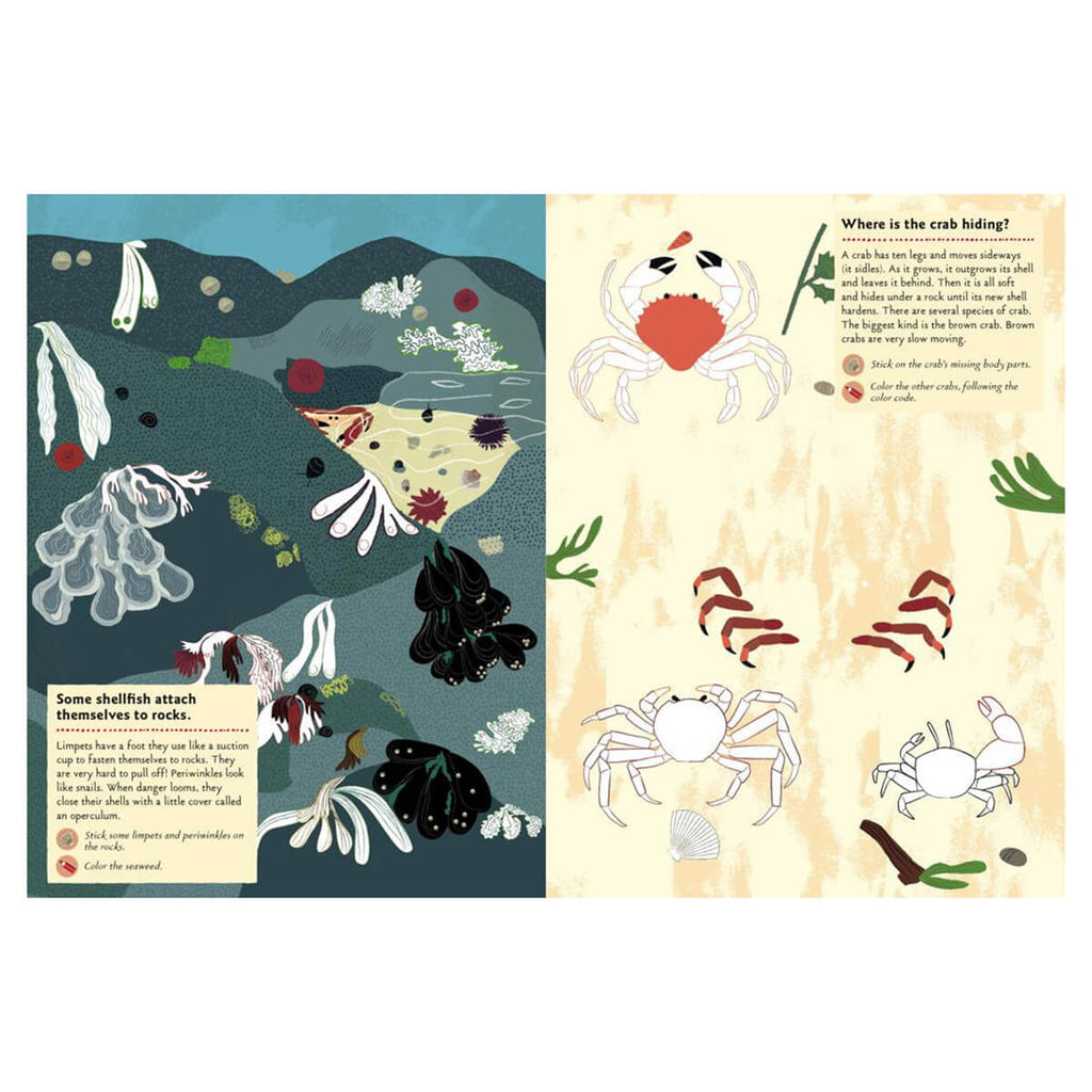 My Nature Sticker Activity Book: At The Seashore by Olivia Cosneau