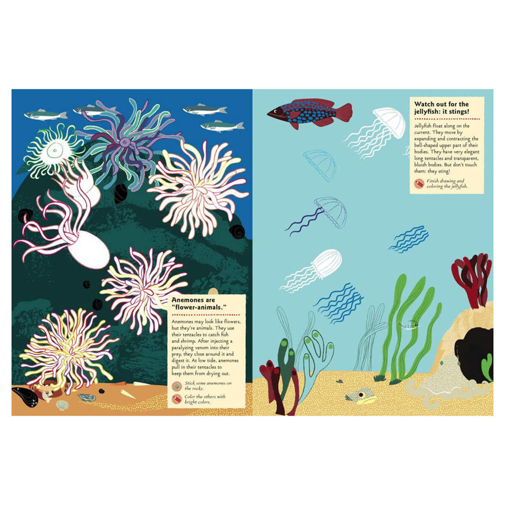 My Nature Sticker Activity Book: At The Seashore by Olivia Cosneau