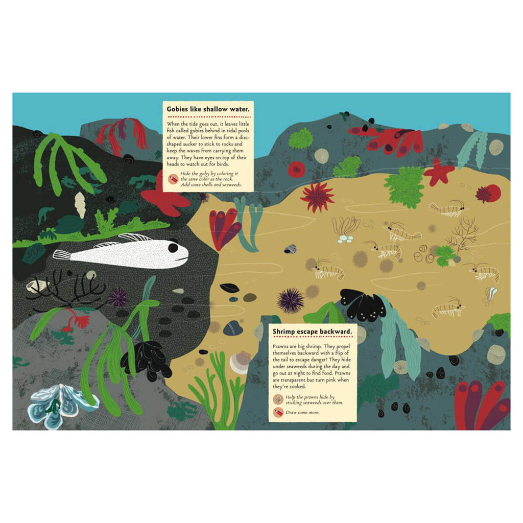 My Nature Sticker Activity Book: At The Seashore by Olivia Cosneau