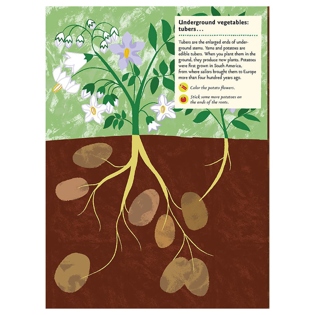 My Nature Sticker Activity Book: In the Vegetable Garden by Olivia Cosneau