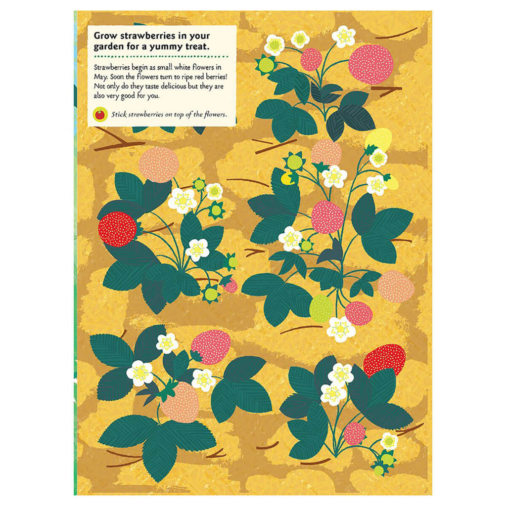 My Nature Sticker Activity Book: In the Vegetable Garden by Olivia Cosneau