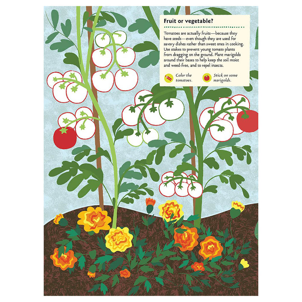 My Nature Sticker Activity Book: In the Vegetable Garden by Olivia Cosneau