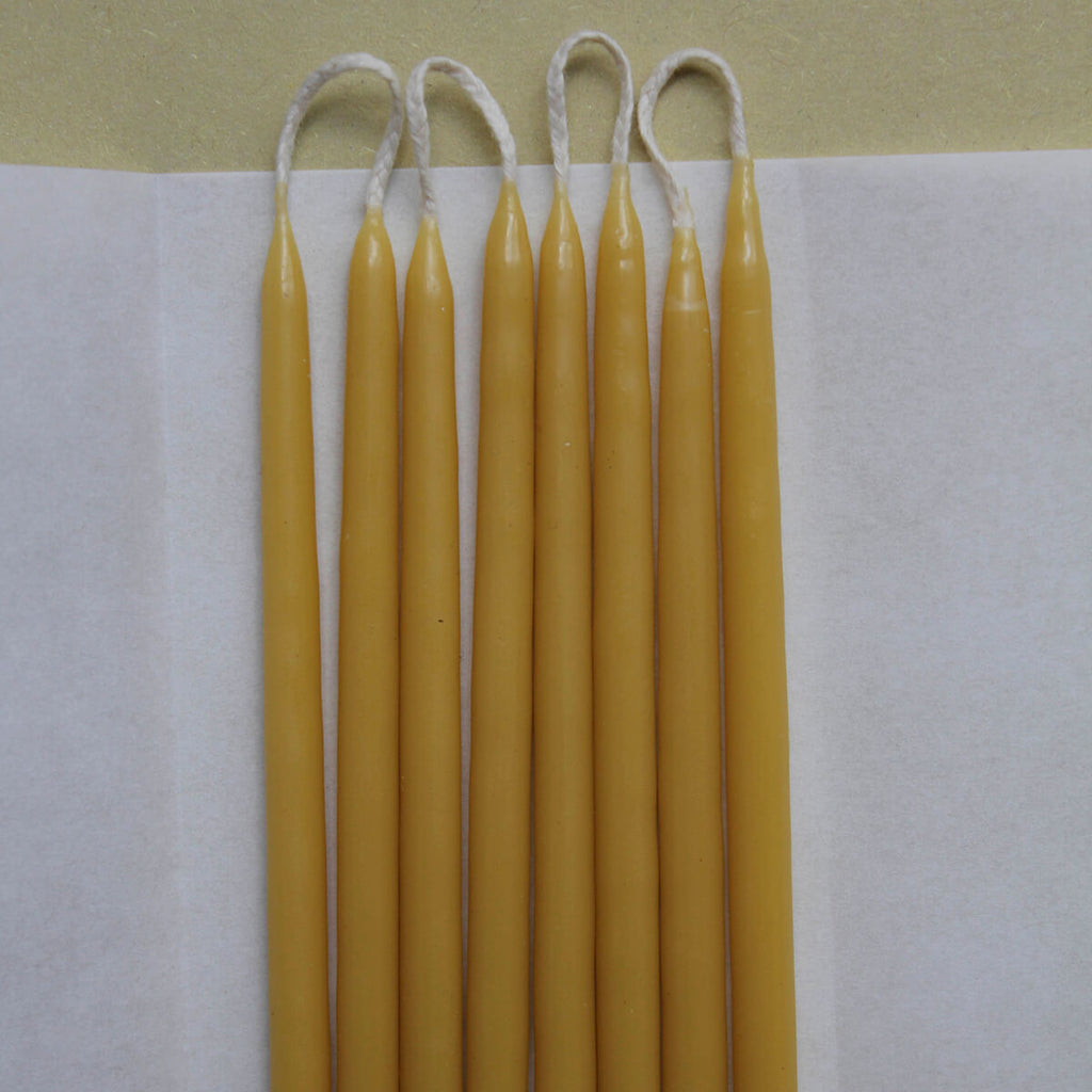 8 Celebration Extra Long Birthday Candles in Natural by Wax Atelier