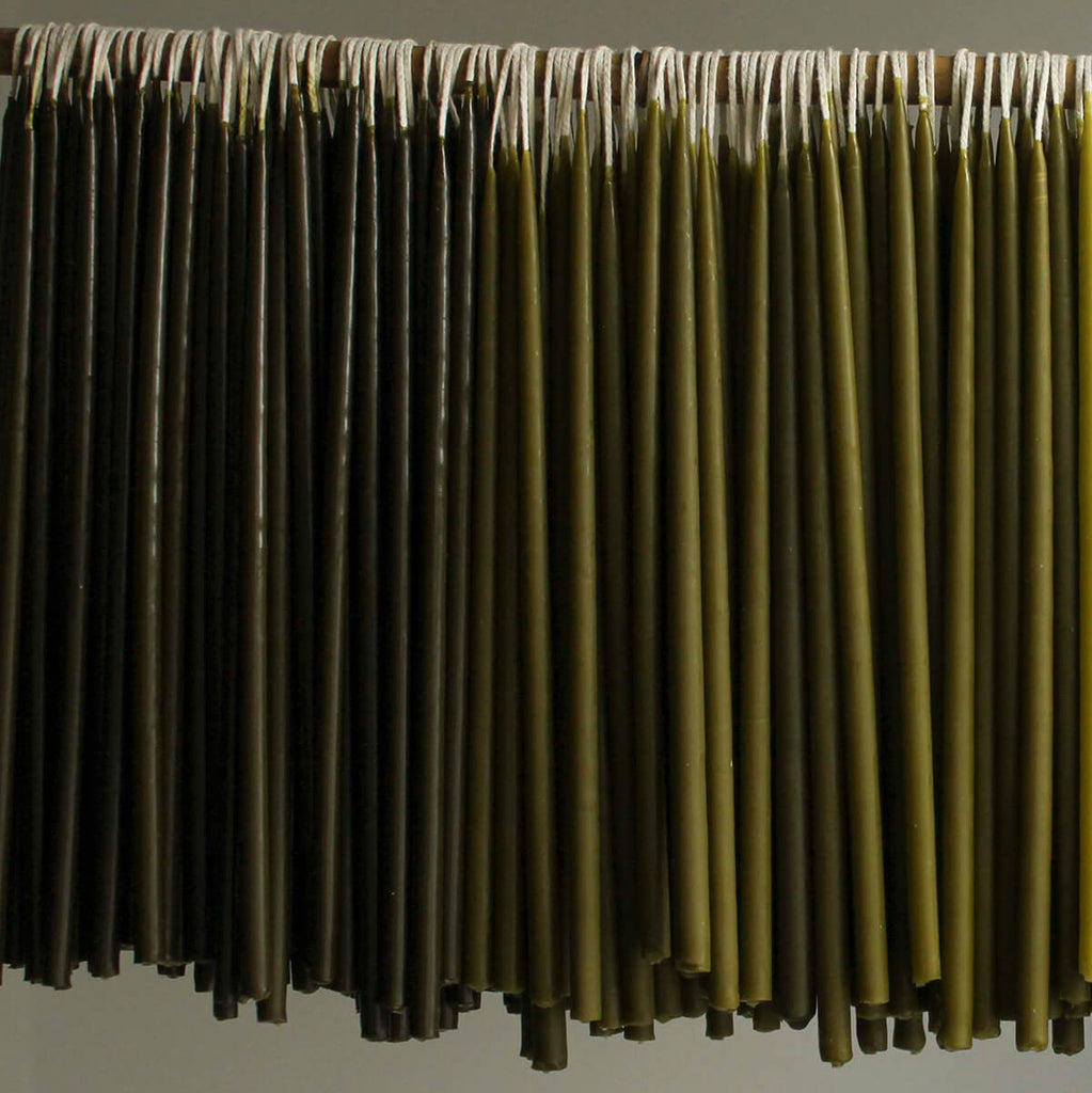 8 Celebration Extra Long Birthday Candles in Seaweed by Wax Atelier