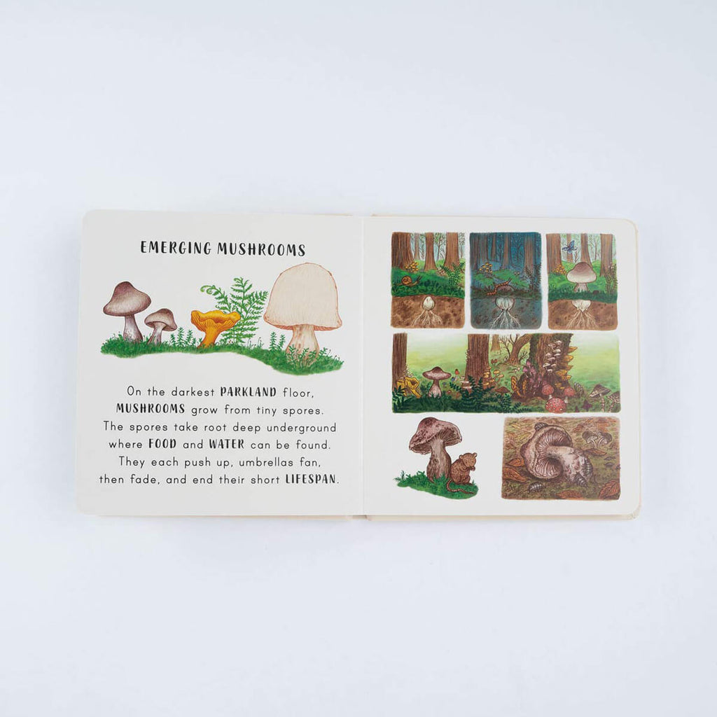 Slow Down… Discover Nature In The Park by Freya Hartas